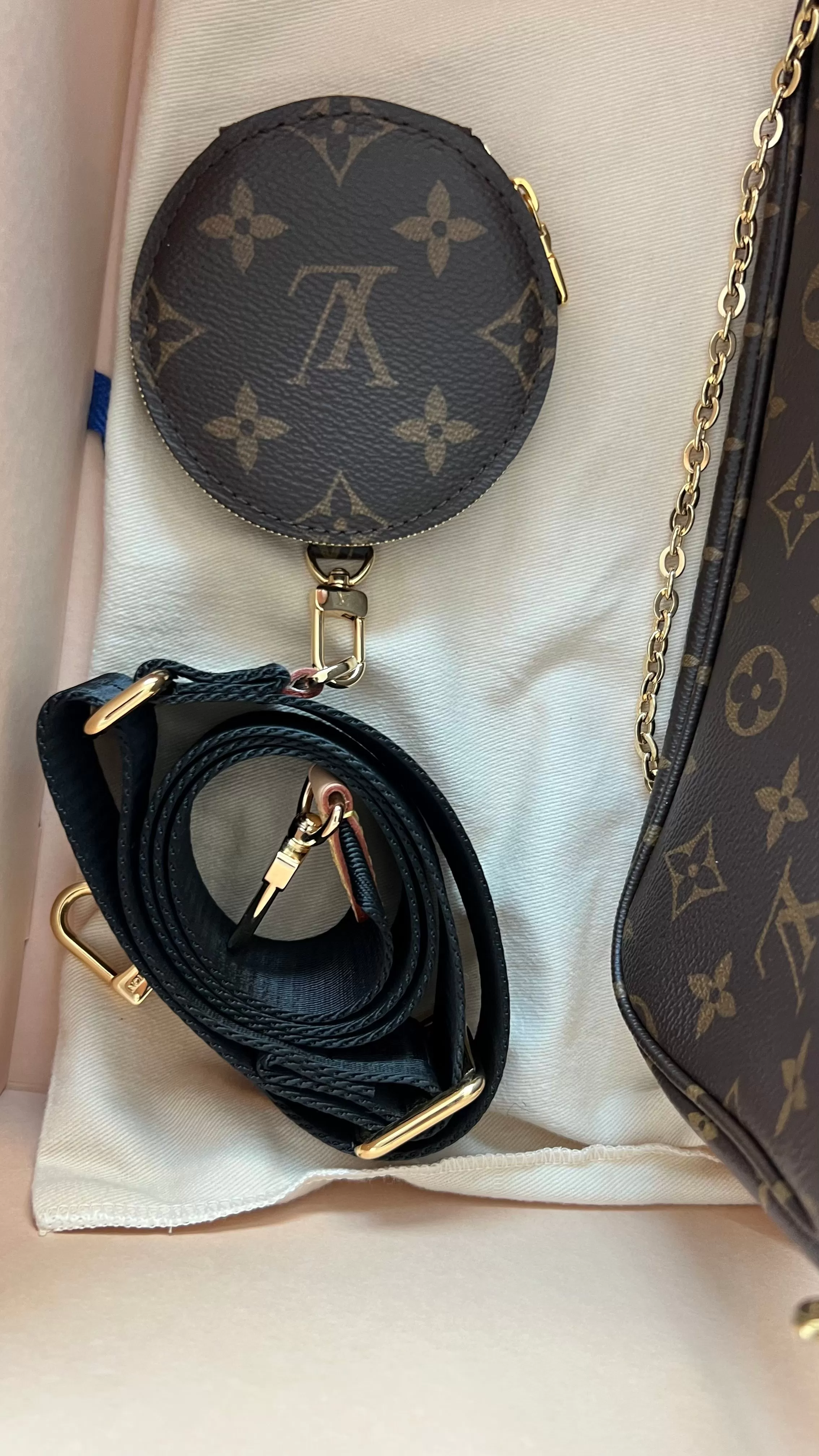 Louis Vuitton Multi Pochette Accessories Bag