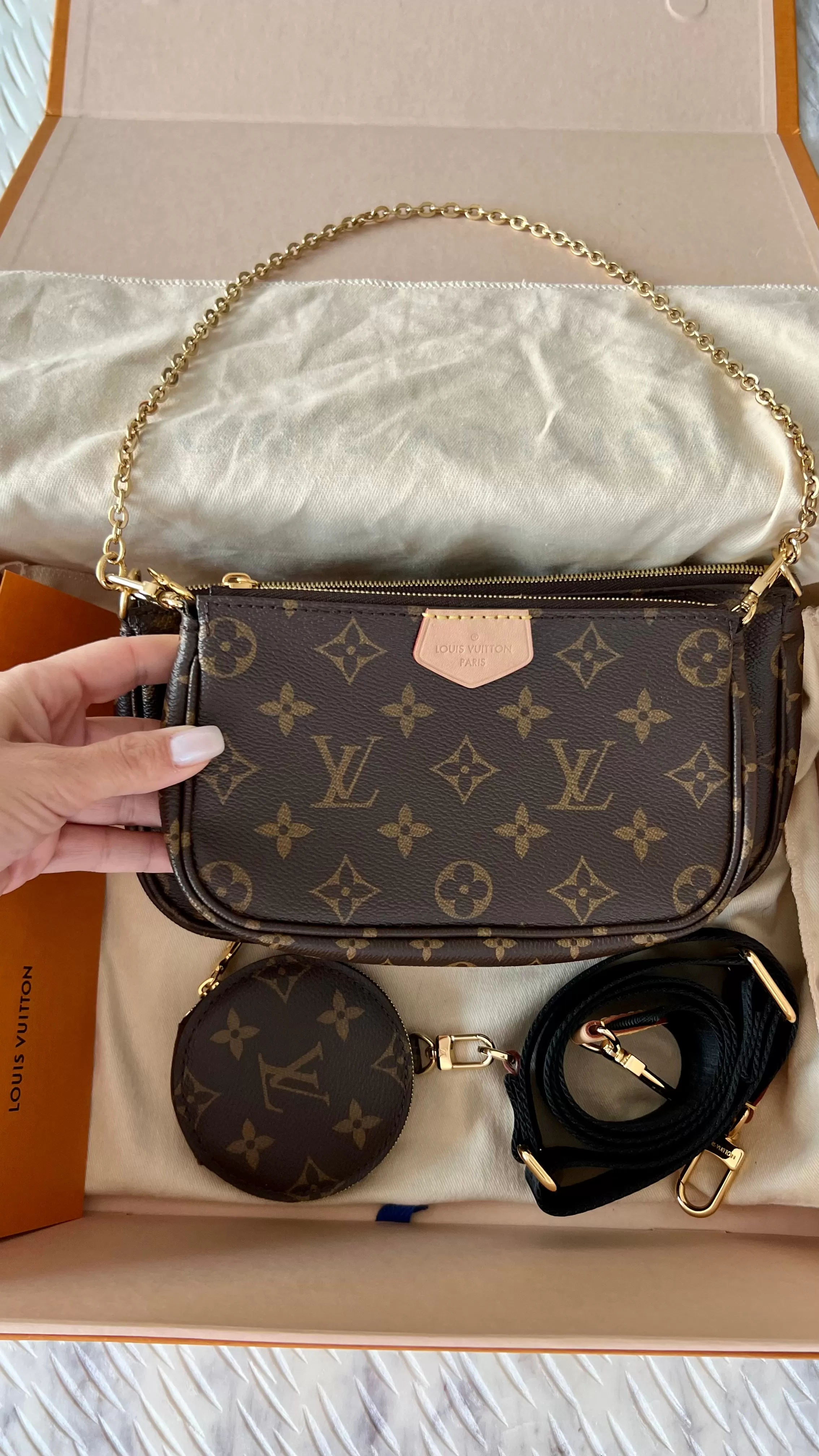 Louis Vuitton Multi Pochette Accessories Bag