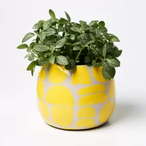 Playa Planter (Multiple Colors)