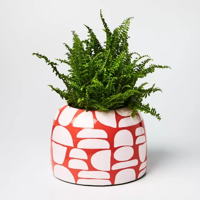 Playa Planter (Multiple Colors)