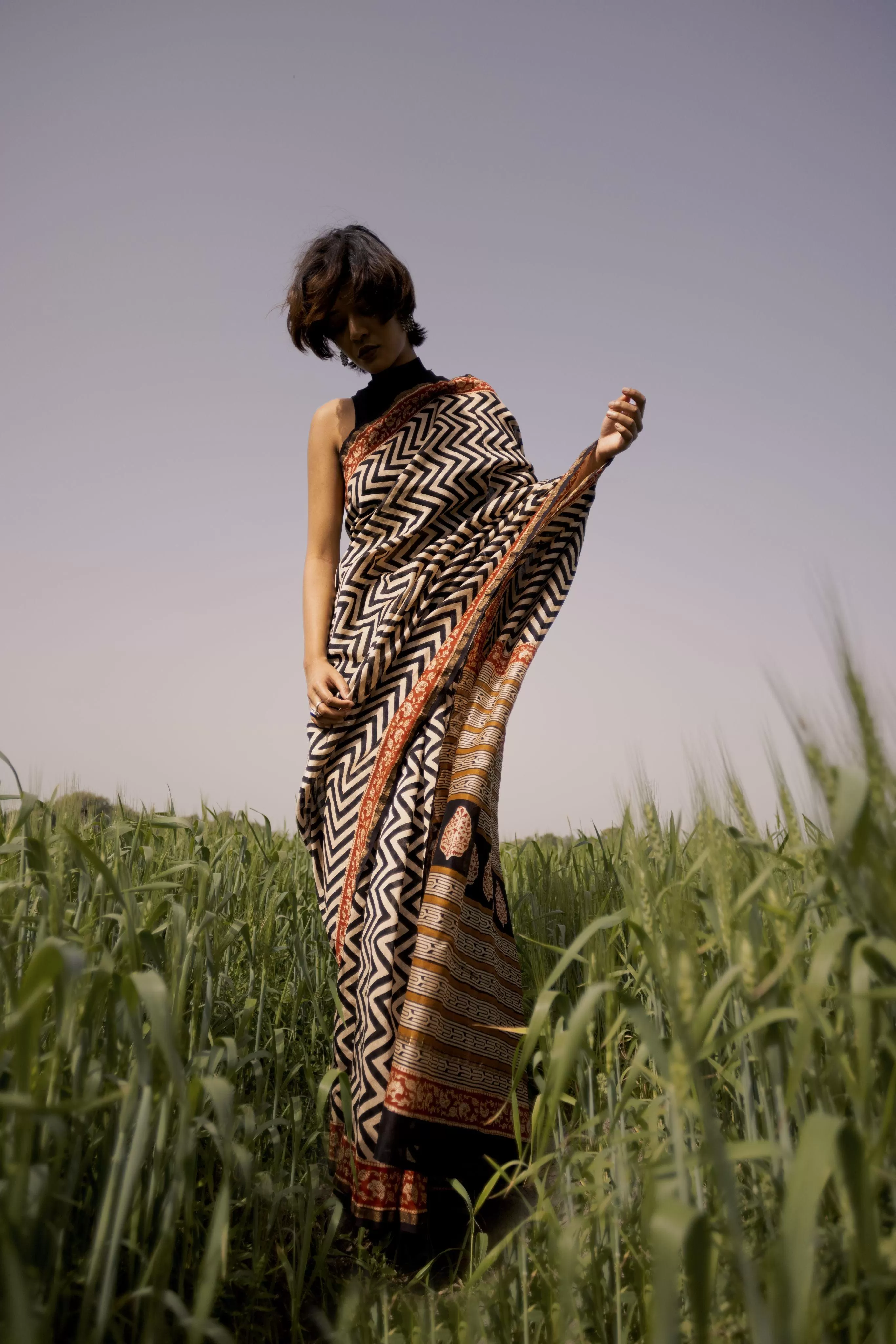 Roheda Chevron Syahi Begar Chanderi Saree